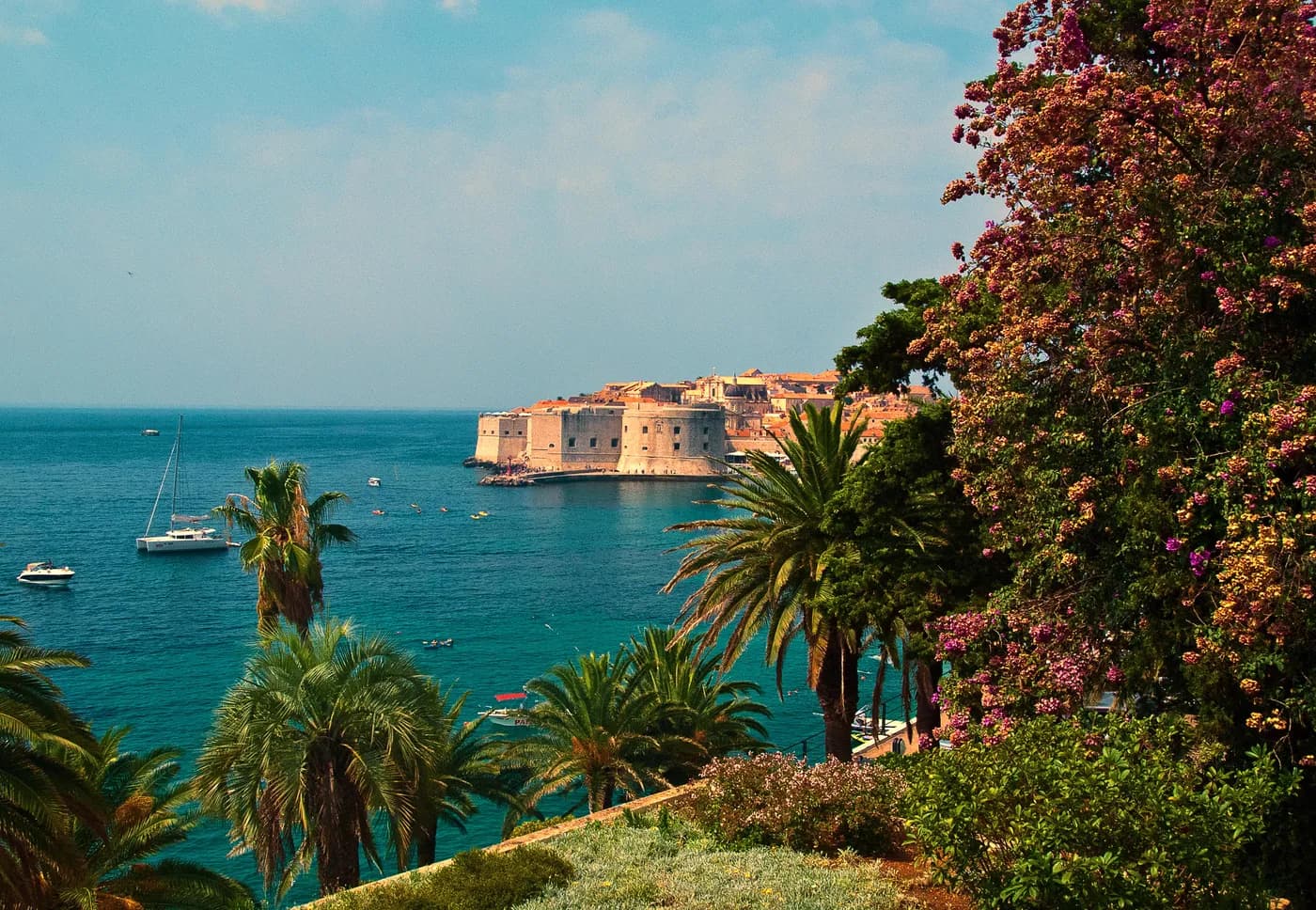 Dubrovnik old town and its coastline viewed past palms