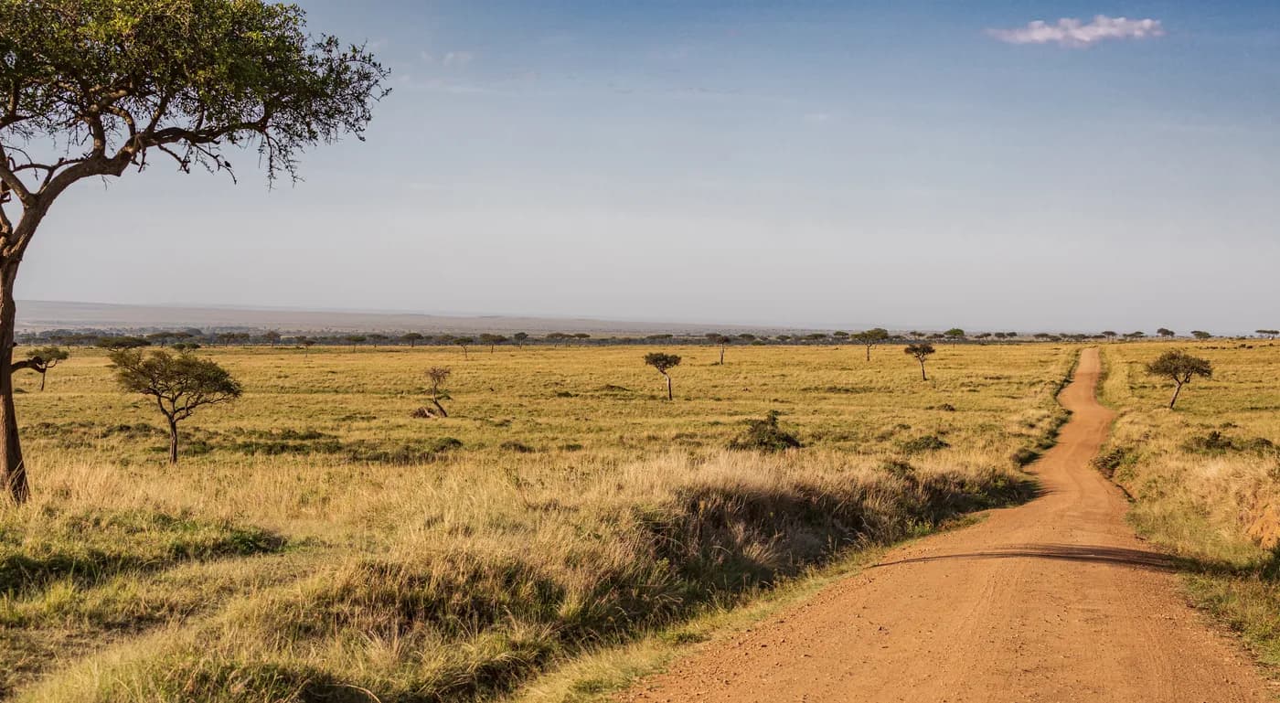 An open grassland track in the Masai Mara National Reserve